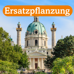 Ersatzpflanzung - 202 (2023)