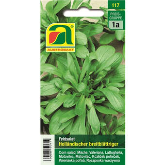 Feldsalat "Holländischer breitblättriger"