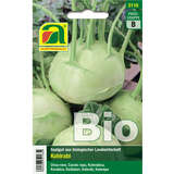 Kohlrabi BIO "Superschmelz" - Kohlrabi BIO "Superschmelz"