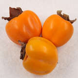 Diospyros kaki Fruchtsorte - Kaki, Kakipflaume