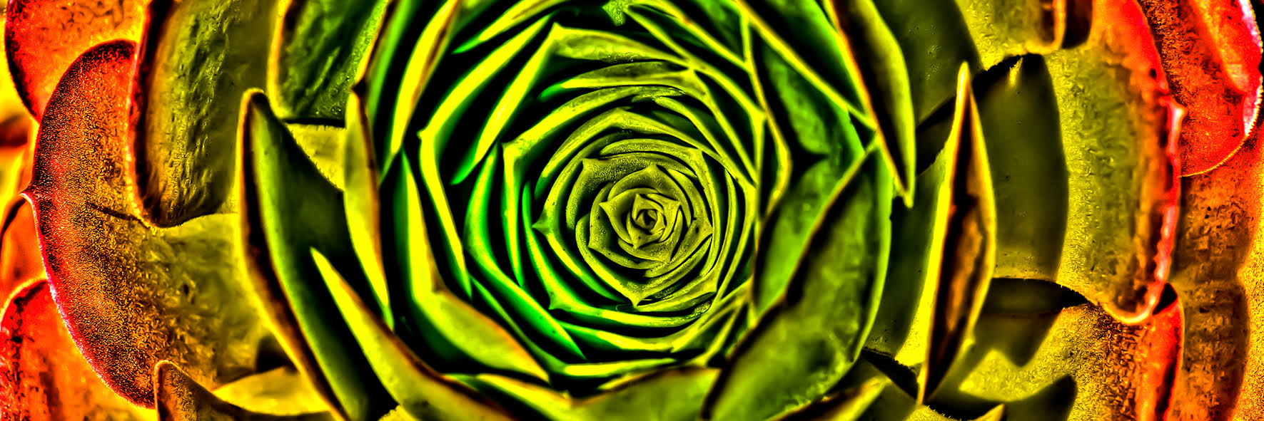 Flora cum Arte