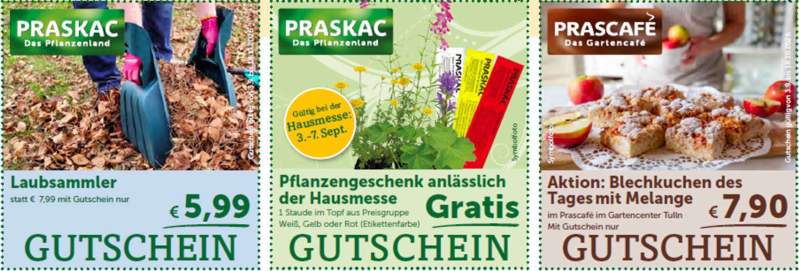 GUtscheine-2