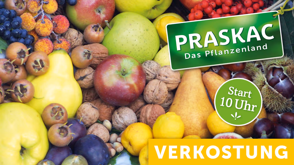gartenakademie-2026-eventjet-1920x1080-obstsortenverkostung10-1782295487